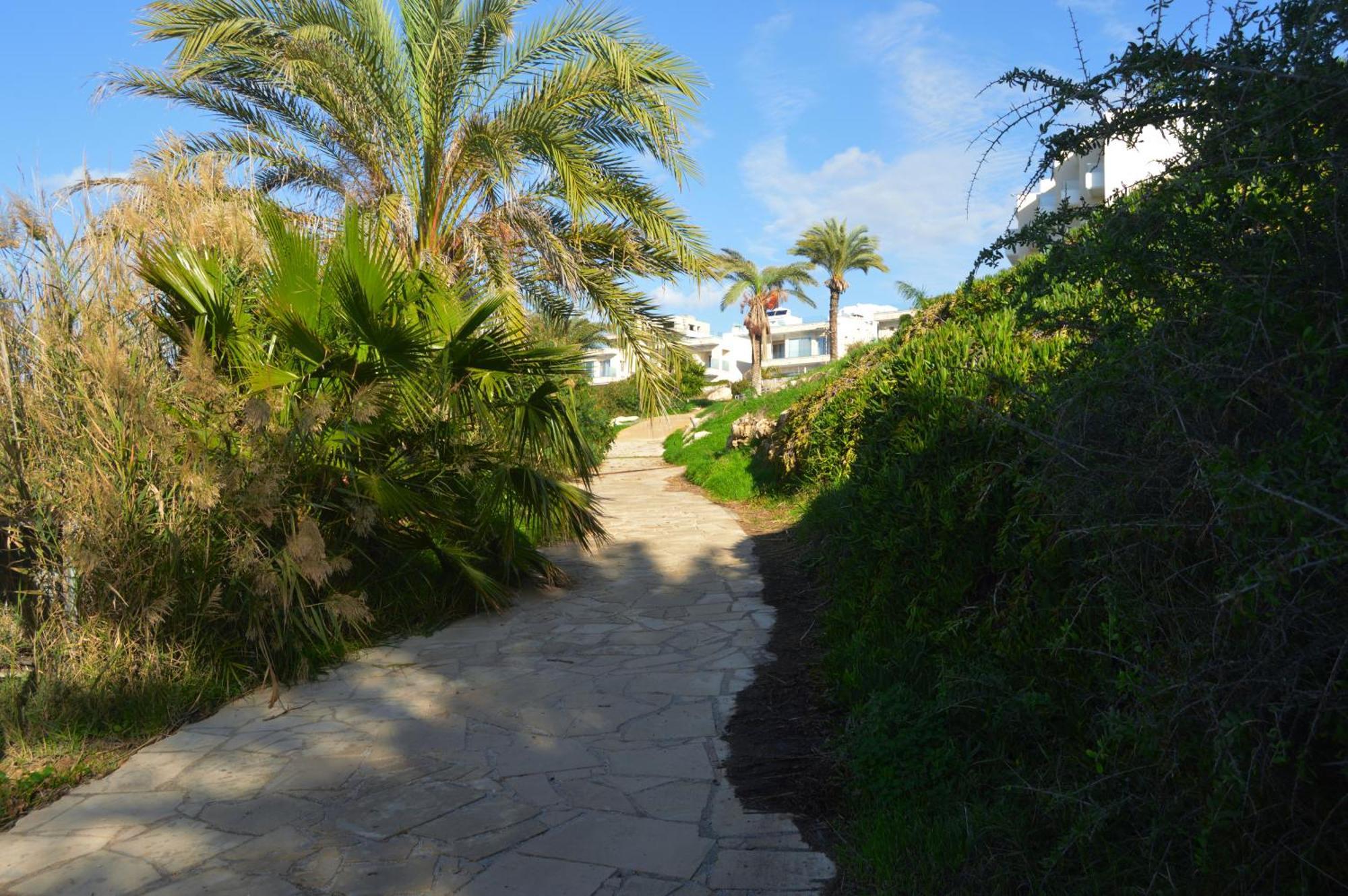 Paphos Olymp Luxury Villa D - Luxury Escape With Direct Beach Access And Unique Sunsets מראה חיצוני תמונה